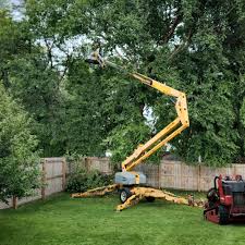  Mowbray Mountain, TN Tree Services Pros